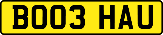 BO03HAU