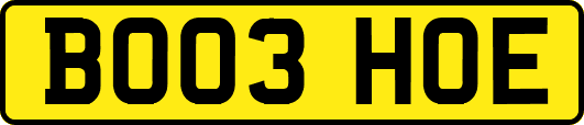 BO03HOE