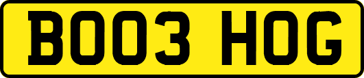 BO03HOG