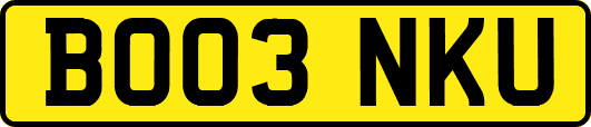 BO03NKU