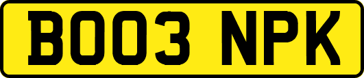 BO03NPK
