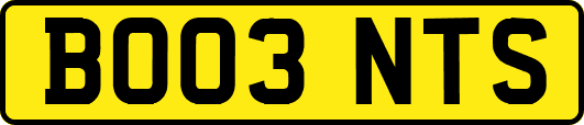 BO03NTS