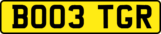 BO03TGR