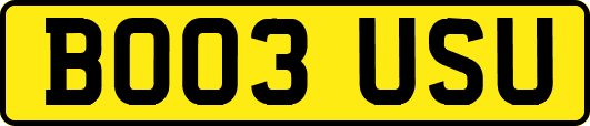 BO03USU