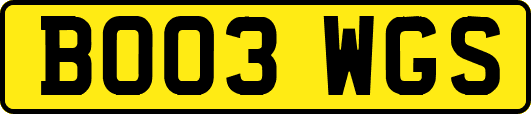 BO03WGS