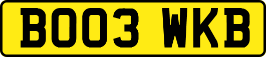 BO03WKB