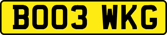 BO03WKG