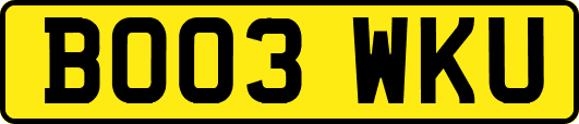 BO03WKU