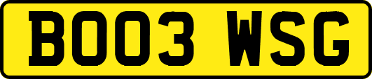BO03WSG