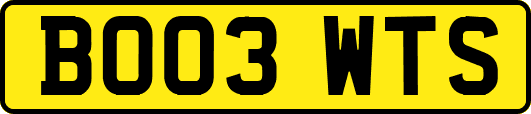 BO03WTS