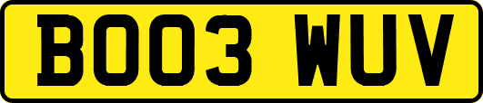 BO03WUV