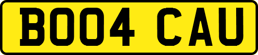 BO04CAU