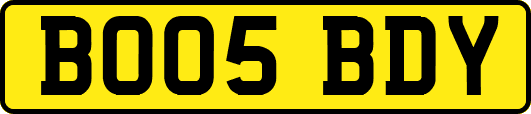 BO05BDY