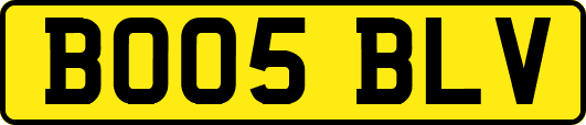 BO05BLV