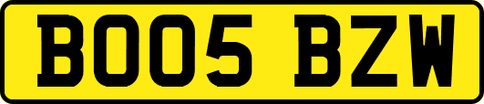 BO05BZW