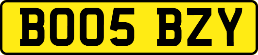 BO05BZY