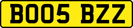 BO05BZZ