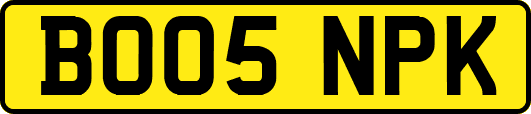BO05NPK