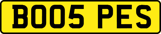 BO05PES