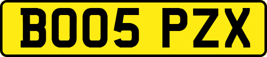 BO05PZX