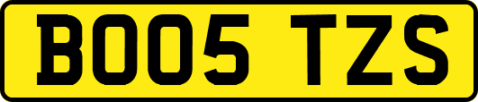BO05TZS