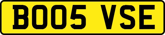 BO05VSE
