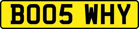 BO05WHY