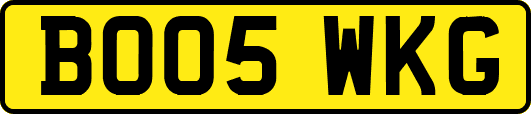 BO05WKG