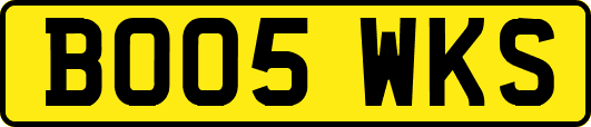 BO05WKS