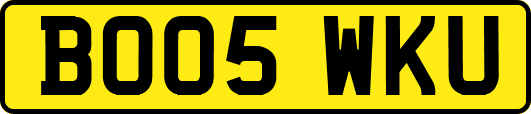 BO05WKU