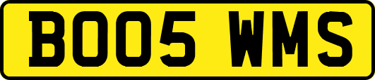 BO05WMS