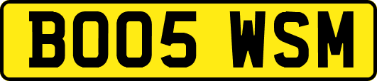BO05WSM