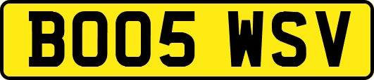 BO05WSV