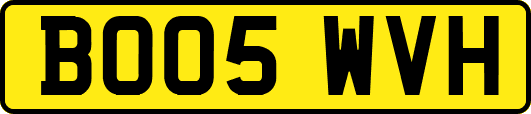 BO05WVH