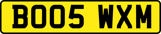 BO05WXM