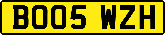 BO05WZH