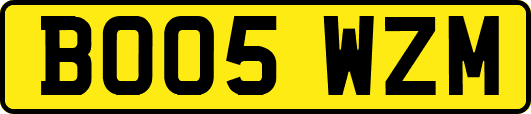 BO05WZM