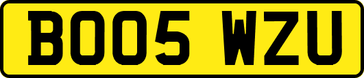 BO05WZU