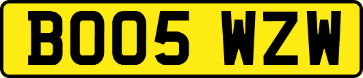 BO05WZW