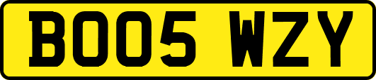 BO05WZY