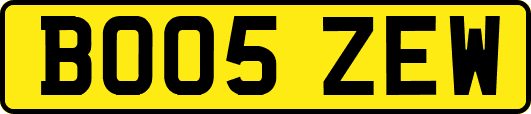 BO05ZEW