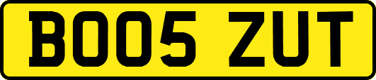 BO05ZUT