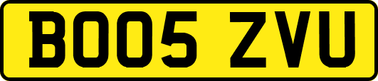 BO05ZVU