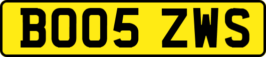 BO05ZWS