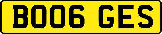 BO06GES