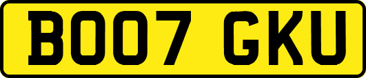 BO07GKU