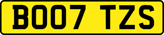 BO07TZS