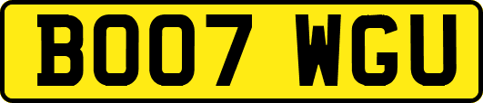 BO07WGU