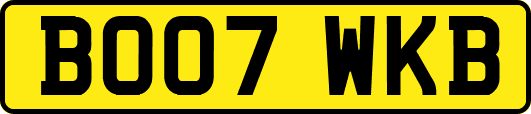 BO07WKB