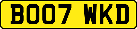 BO07WKD